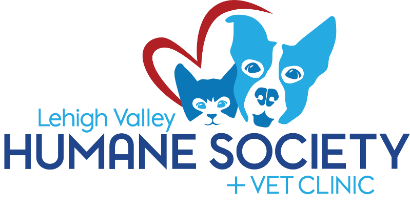Lehigh Valley Humane Society x The Simple Pup
