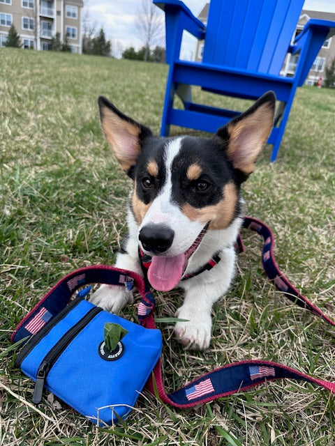 Pup Pouch - Pool Blue