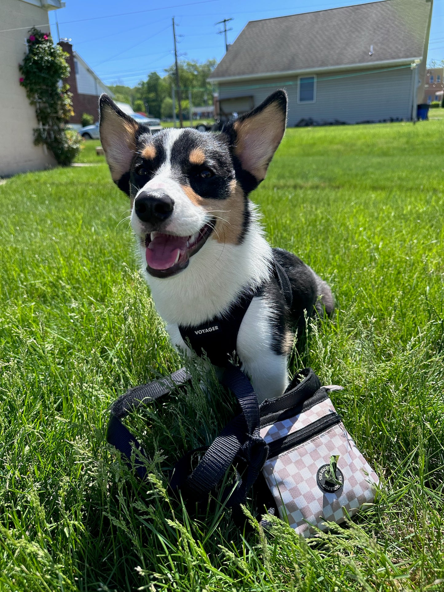 The Pup Pouch:  Treat & Poop Bag Holder