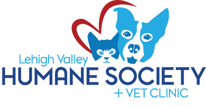 Lehigh Valley Humane Society x The Simple Pup