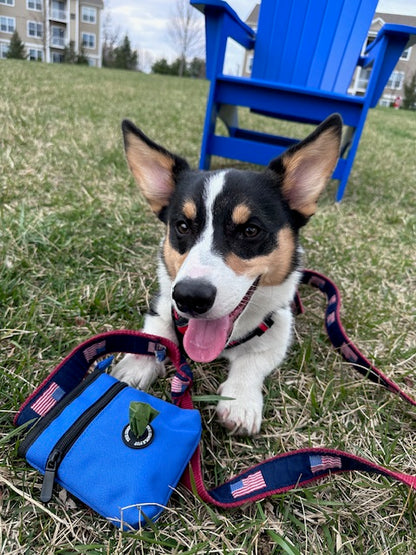 Pup Pouch - Pool Blue