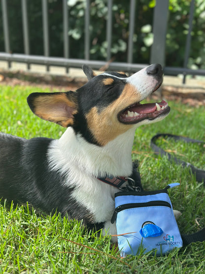 Lehigh Valley Humane Society x The Simple Pup